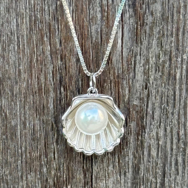 Cape May Scallop Shell with Pearl Necklace