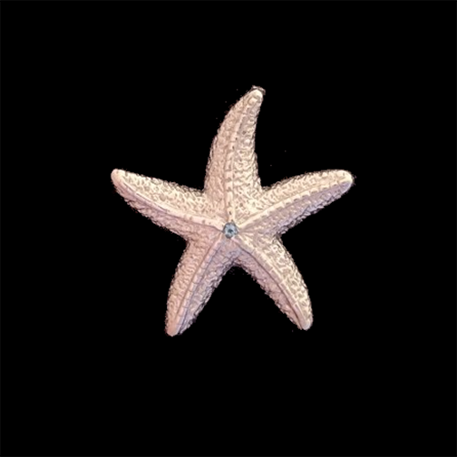 Topaz Large Starfish Pendant