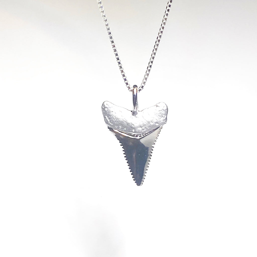 Shark Tooth Pendant and Necklace
